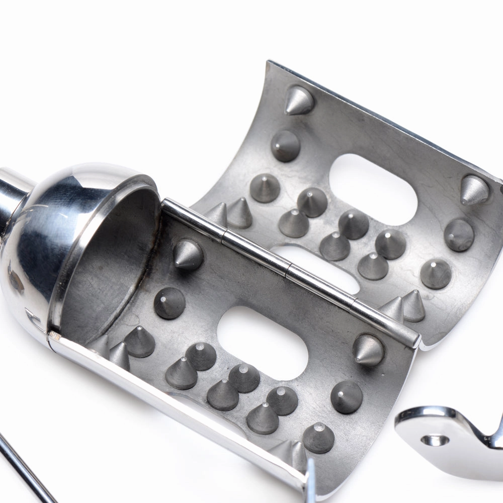 Master Series - Spiked Chamber Chastity Cage
