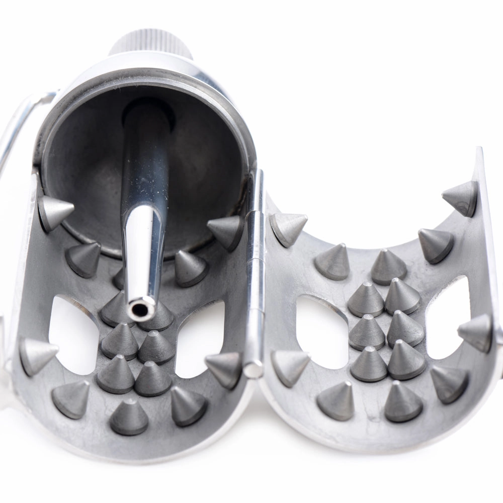 Master Series - Spiked Chamber Chastity Cage